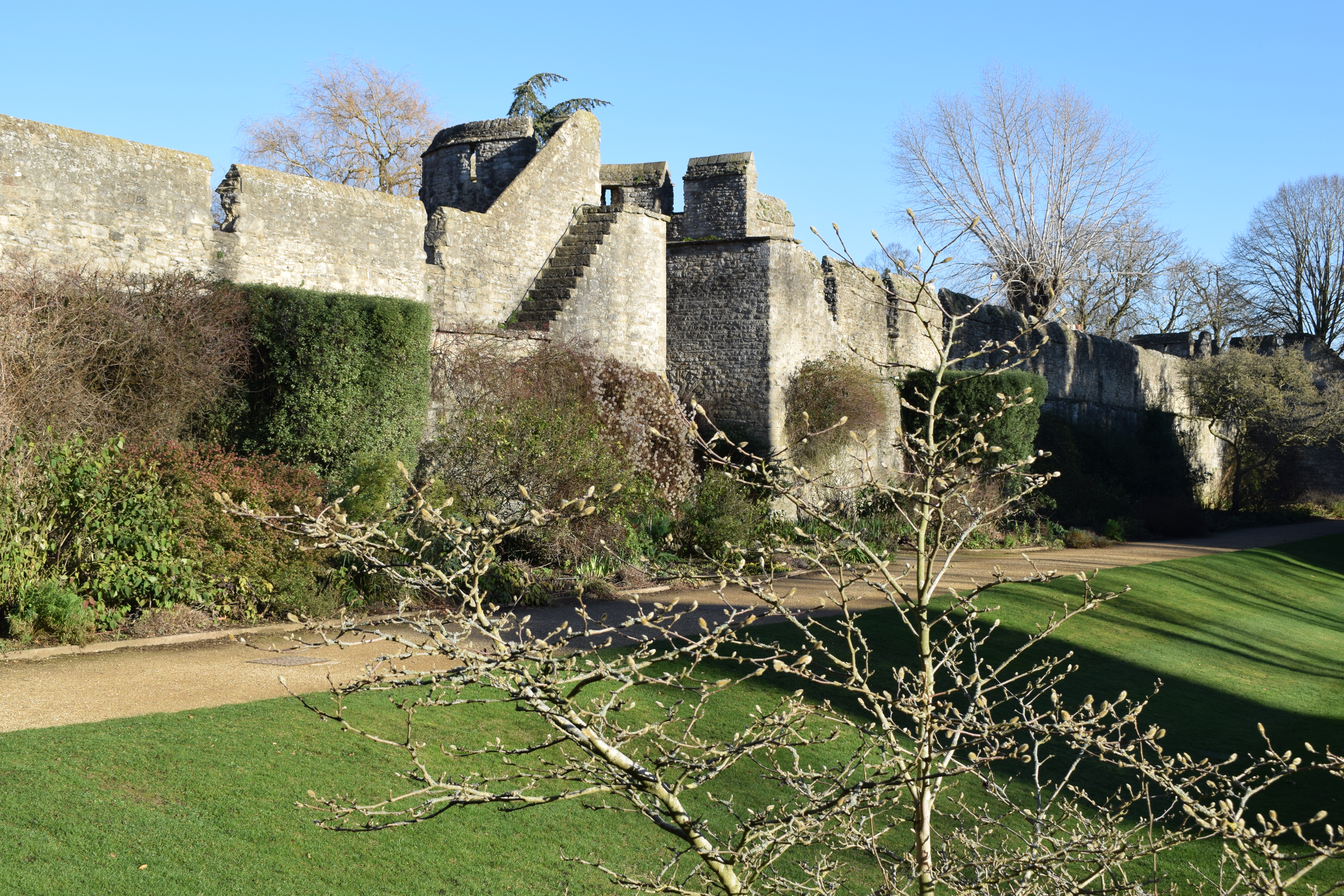 New College Garden, Old City Wall