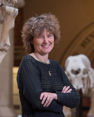 Professor Dame E.J. Milner-Gulland is Tasso Leventis Professor of Biodiversity at the University of Oxford.