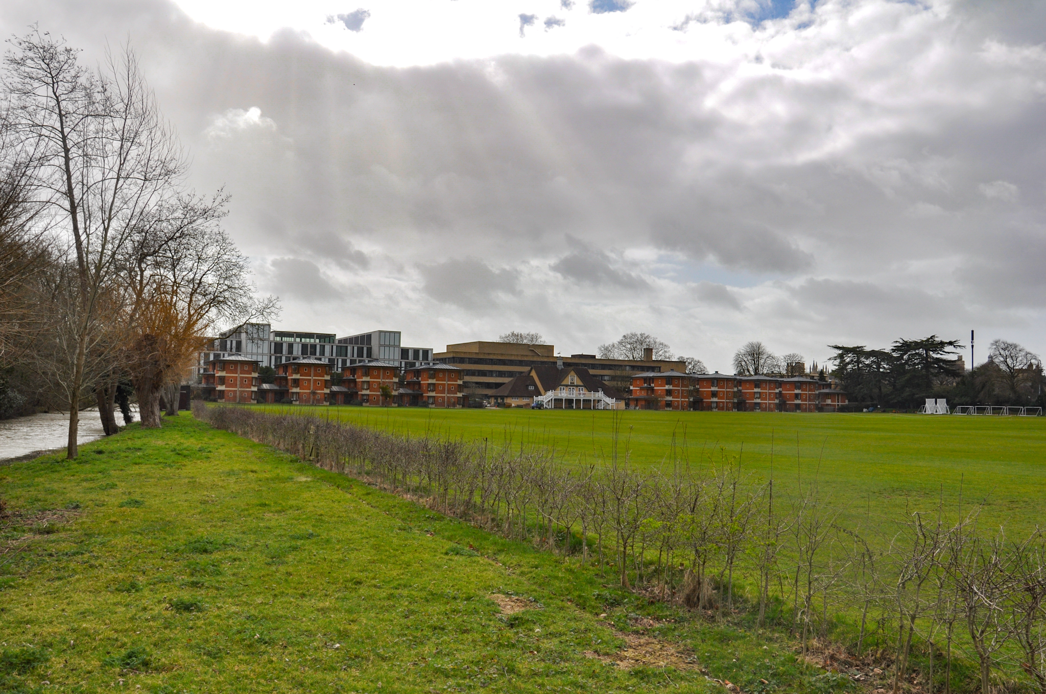 Wild ground, with a young hedge bordering a sports field; pavilion and housing in the background