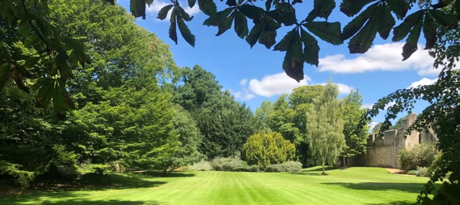 A green lawn, surrounded by leafy green trees and a section of medieval city wall