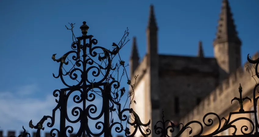 College as pictured through the gate