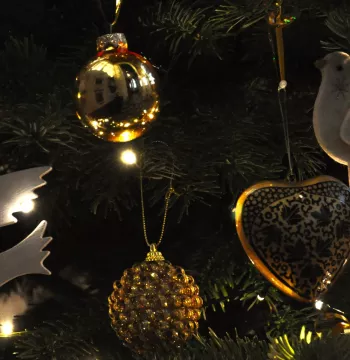 Birds and baubles hanging on a Christmas tree