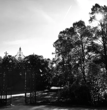 Black and white photo of decorative iron screen and sun shining through trees