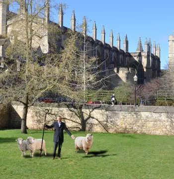 Home Bursar with a crook and three sheep on a bowling green; gothic chapel exterior and bell tower in background